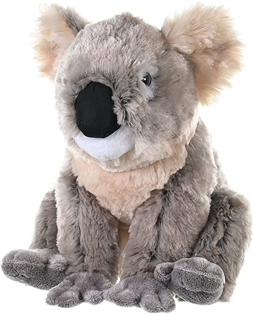 Wild Republic Koala Plush, Stuffed Animal, Plush Toy, Gifts for Kids, Cuddlekins 12"