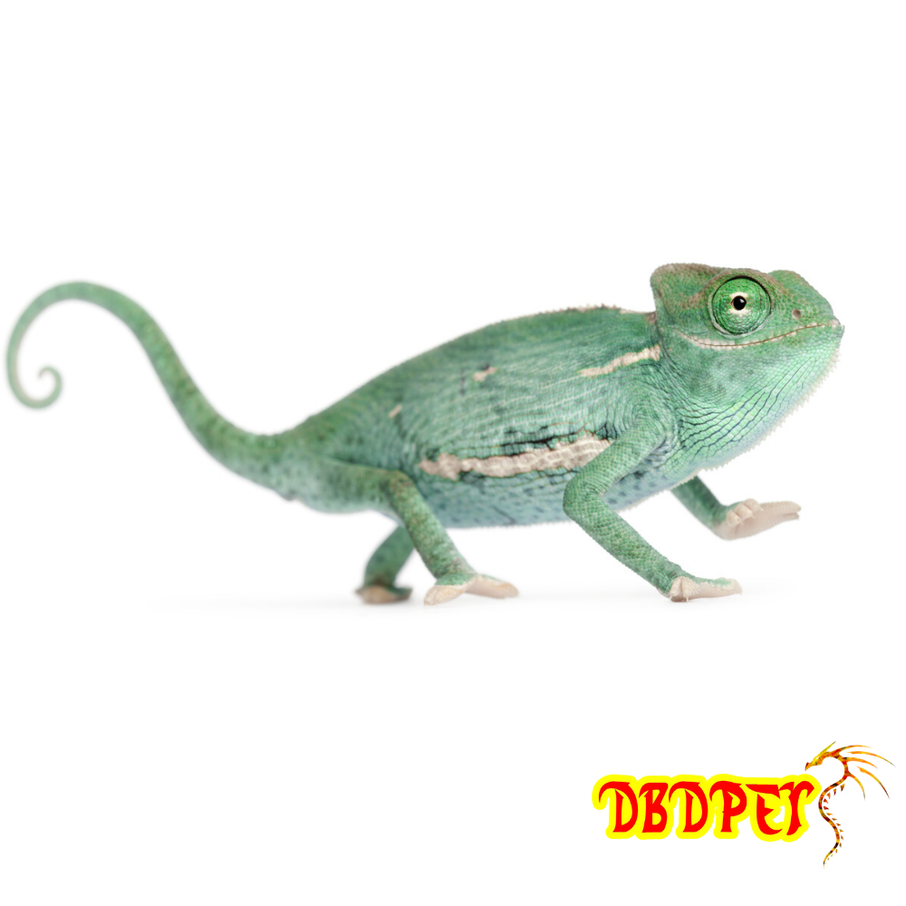 Male_2Pic_1_3_1024x1024.png?v=