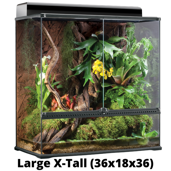 Vivarium accessories for sale hot sale