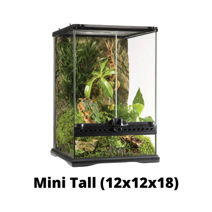 Exo-Terra Natural Front Opening Terrarium (Pickup Only) โ DBDPet