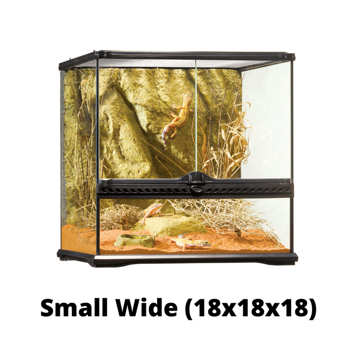 Exo Terra Moss Mat Small 18 x 18