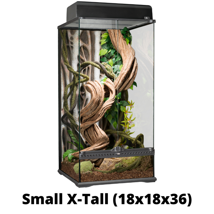 18x18x24 exo terra glass terrarium hot sale