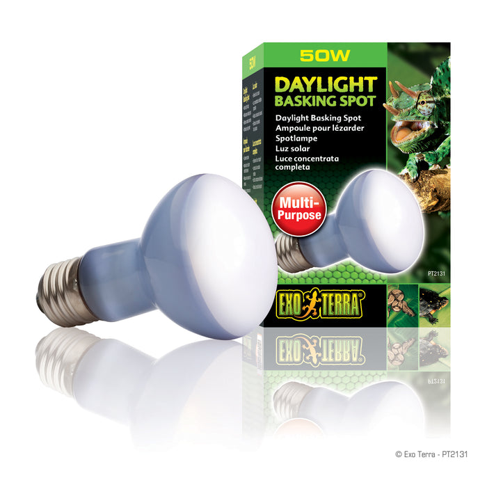 Daylight Basking Spot Lamp | Wide Beam Basking Bulb