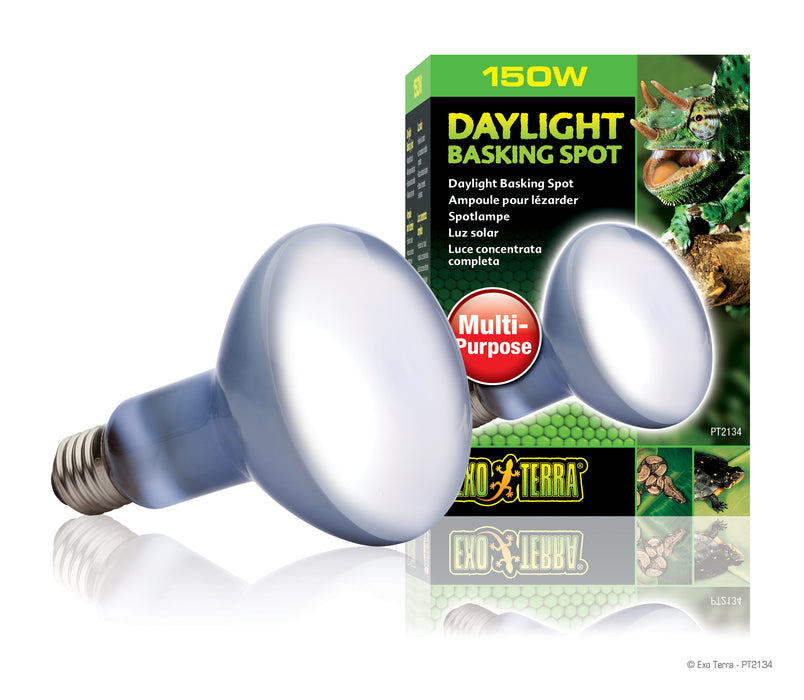 Daylight Basking Spot Lamp | Wide Beam Basking Bulb