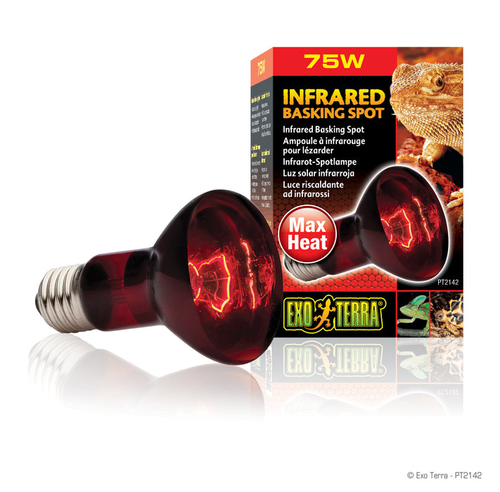 Infrared Basking Spot Bulb | Night Time Heat Bulb