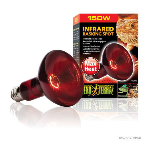 Infrared Basking Spot Bulb | Night Time Heat Bulb