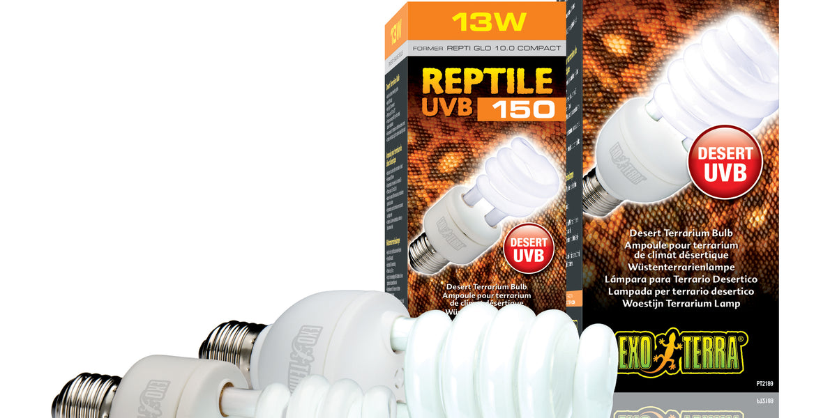 Reptile UVB 10 Fluorescent Bulb 10.0 DBDPet