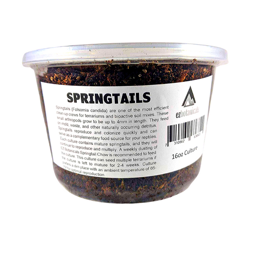 Live Springtails (Cultured in EZB Mix)