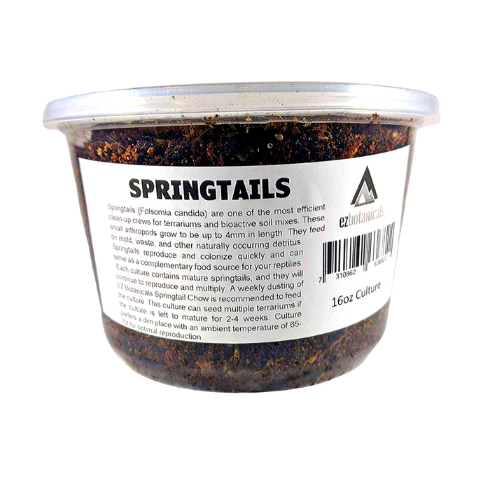 100 Springtails Live Springtail Culture for Terrariums & Reptile Food