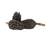 Large Magnolia Seed Pods (5+ Inches) (3 Pack)