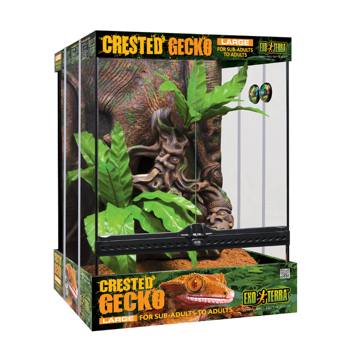 Crested Gecko Kits
