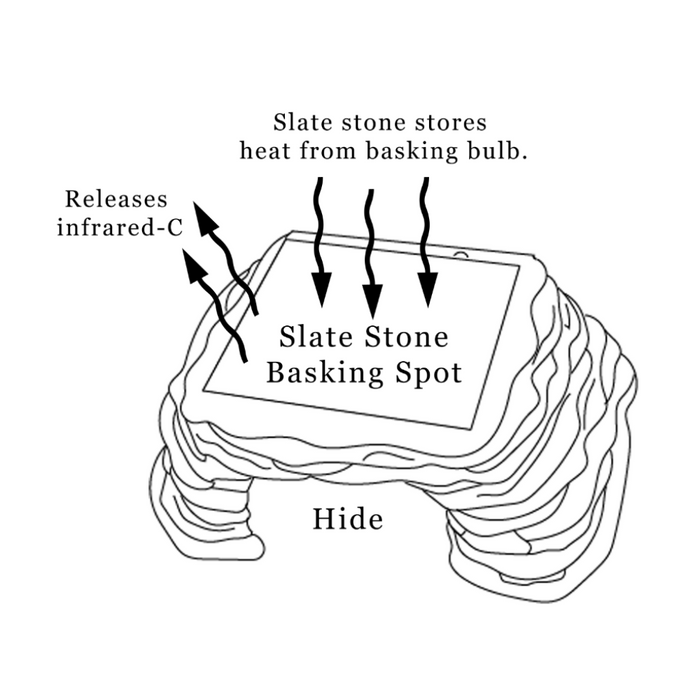 Zen Habitats Zen Cave