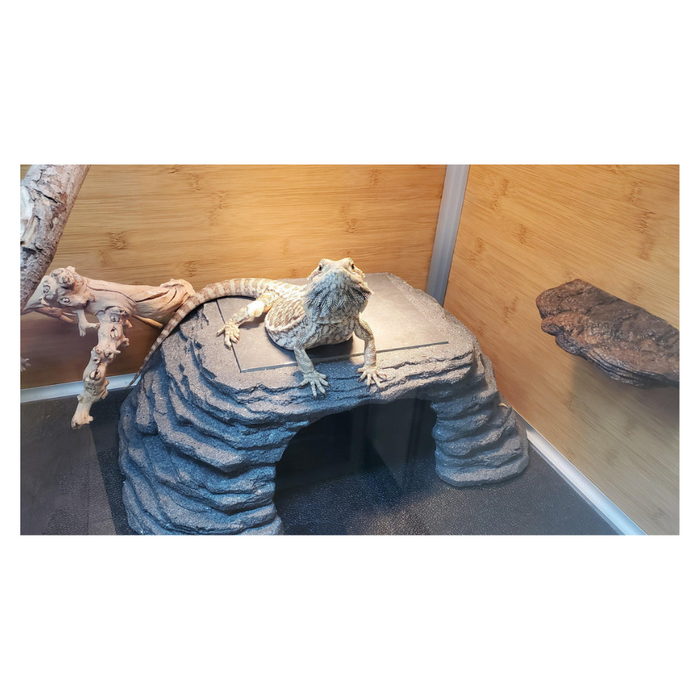 Zen Habitats Zen Cave