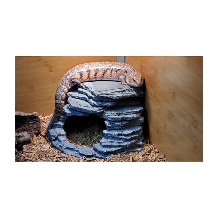 Zen Habitats Zen Corner Cave