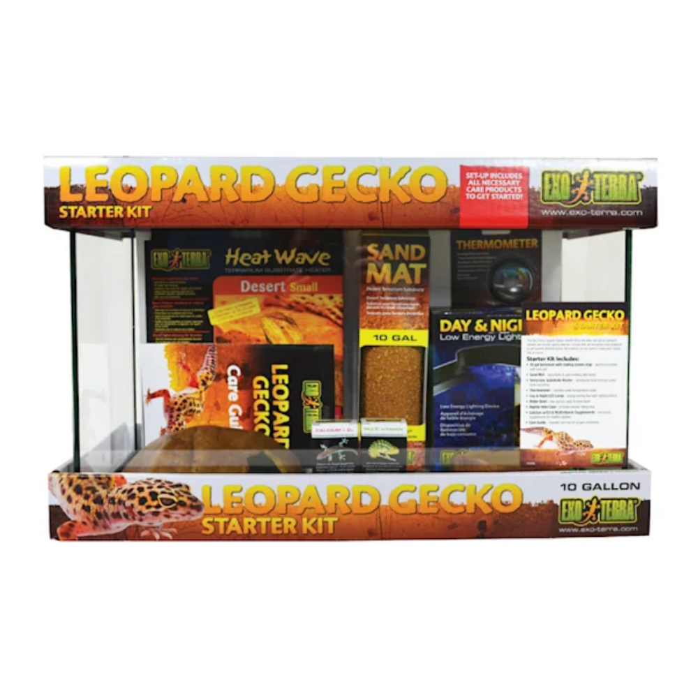 Starter kit top for leopard gecko