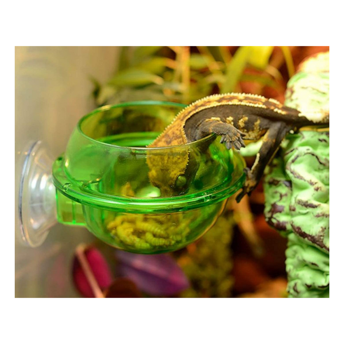 Anti-Escape Suction Cup Feeding Dish