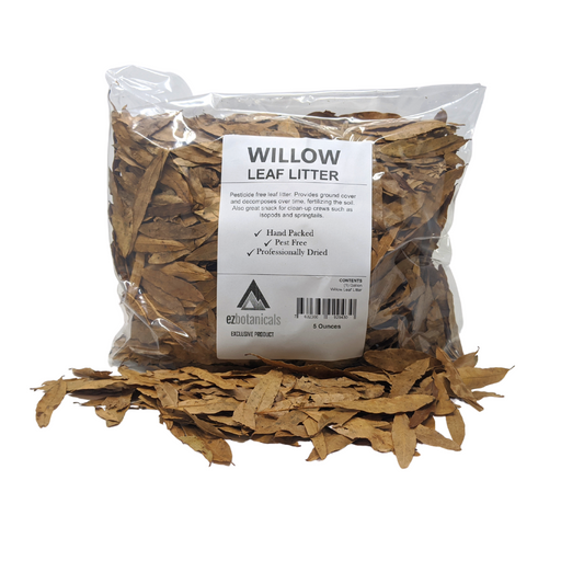 Willow Oak Leaf Litter