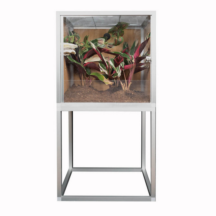 2'x2'x2' Enclosure Zen Habitats Stand