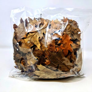 Black Oak Leaf Litter ( 4 Quarts )